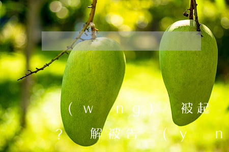 網(wǎng)貸被起訴如何寫答辯狀？詳解被告應(yīng)對(duì)策略